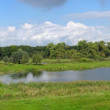 Zwarte Kolk (Gelderland)